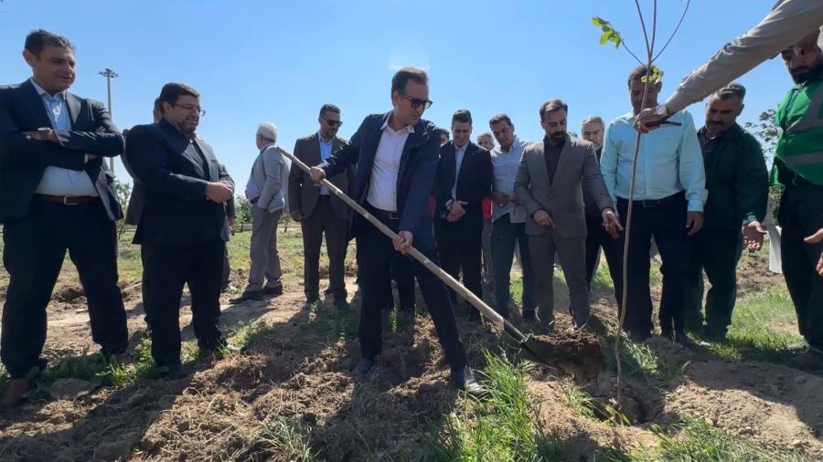 کاشت ۷۰ اصله نهال در پارک امیرکبیر شهریار همزمان با سالروز شهدای خدمت