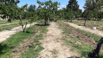 کاشت ۷۰ اصله نهال در پارک امیرکبیر شهریار همزمان با سالروز شهدای خدمت